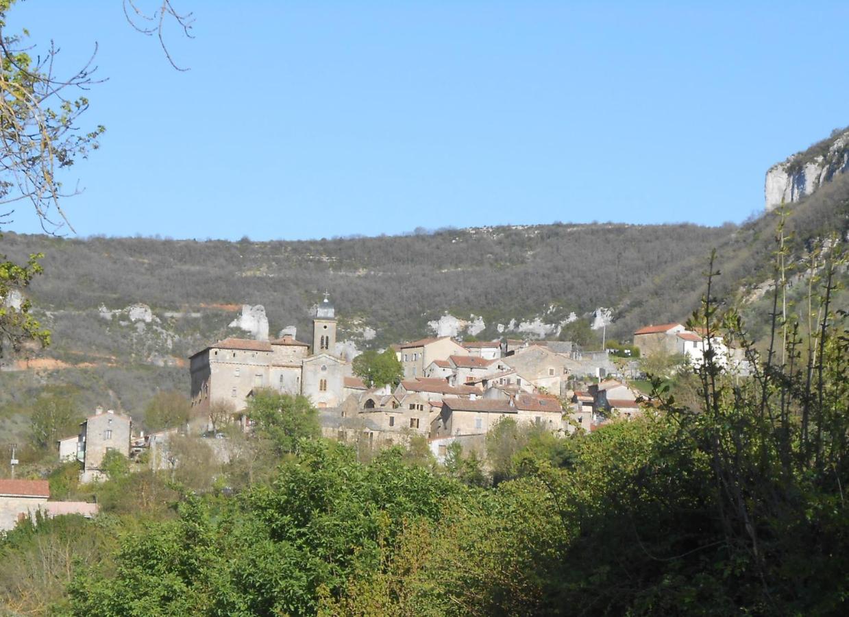 Maison de village spacieuse et agréable Saint-Georges-de-Luzençon Exterior foto